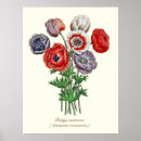 Search for marigold posters Red