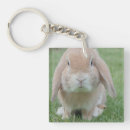 Search for rabbit square key rings Green