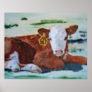 Search for hereford posters Cow