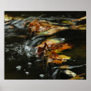 Search for streams posters Water