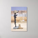 Search for tags canvas prints Outdoors