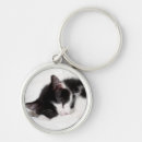 Search for sleeping kitten key rings Photography