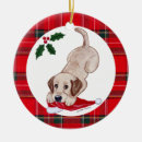 Search for yellow lab christmas tree decorations Funny
