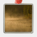 Search for serenity christmas tree decorations Calm