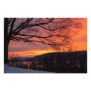 Search for winter solstice gifts Tree