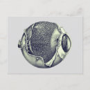 Search for greys postcards Drawing