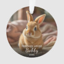 Search for rabbit memorial gifts In loving memory