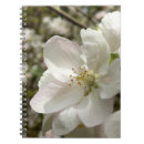 Search for apple blossom notebooks White