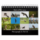 Search for birds of prey calendars Hawk