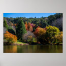 Search for colourful trees posters Landscape