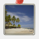 Search for fiji christmas tree decorations Beach