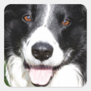 Search for photograph stickers Happy