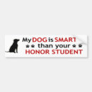 Search for my dog bumper stickers Doggie