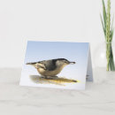 Search for nuthatches cards Animal