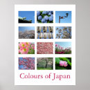 Search for white blue posters Flowers