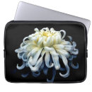 Search for chrysanthemum flowers electronics Nature