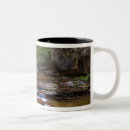 Search for usa national park mugs Stream