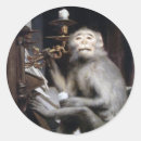 Search for smiling monkey stickers Humour