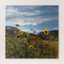 Search for foothill Landscape