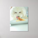 Search for gallery selection posters Focus