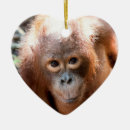Search for endangered animals christmas tree decorations Orangutans