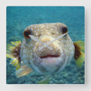 Search for puffer posters Funny