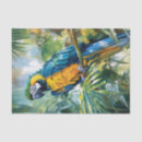 Search for parrot tissue paper Macaw