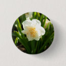 Search for daffodil day badges Daffodils