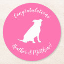 Search for pitbull coasters Dog