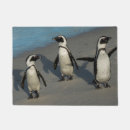 Search for penguins doormats Nature
