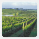 Search for grapevine stickers Vineyard