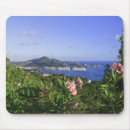 Search for using mouse mats Ship