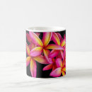 Search for frangipanis mugs Pink