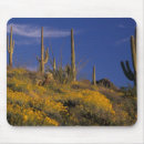 Search for organ mouse mats Saguaro