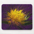 Search for spectacular electronics Floral