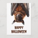 Search for flying bats postcards Halloween