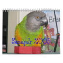 Search for 2009 calendars Bird