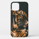 Search for room iphone cases Nature