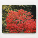 Search for maple mouse mats Autumn leaves