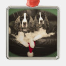 Search for springer spaniel christmas tree decorations Liver