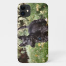 Search for scottie iphone cases Scotty