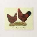 Search for chicken egg puzzles Bird