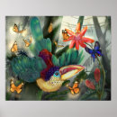 Search for amazon rainforest posters Toucan