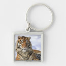 Search for dangerous animals key rings Wildlife