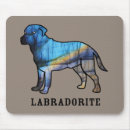Search for rocking electronics Dog