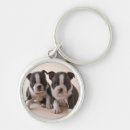 Search for boston round key rings Small