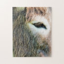 Search for donkey puzzles Pet