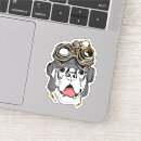 Search for goggles stickers Pet