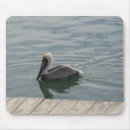 Search for pelicans mouse mats Animal