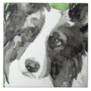 Search for border collie tiles Canine